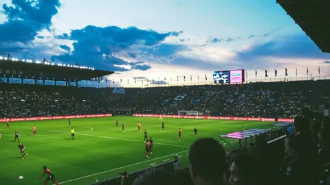 米乐YY易游体育