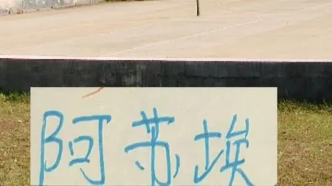 米乐YY易游体育